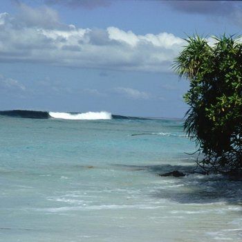 صورة الفندق 7