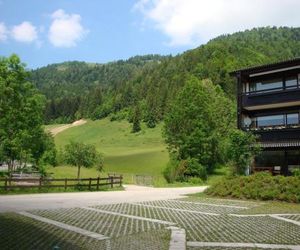 Oostenrijk-walchsee-Hasewinkel Oed Austria