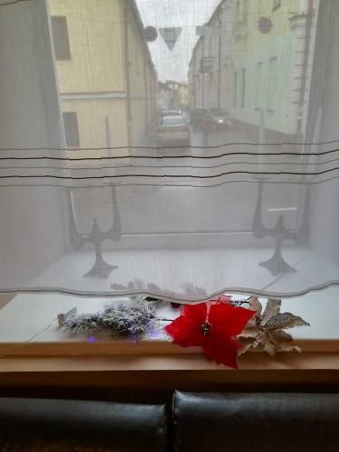Hostel Sarmatia