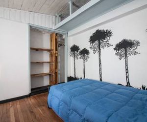Tipico Hostel Chile Chillan Chile