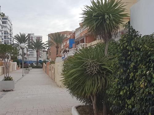 صورة الفندق 21
