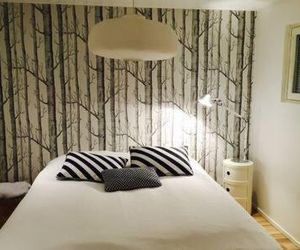 Scandinavian Style Villa Rovaniemi Finland