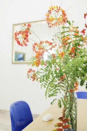 صورة الفندق 5