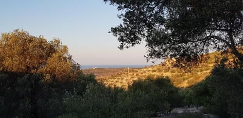 صورة الفندق 6