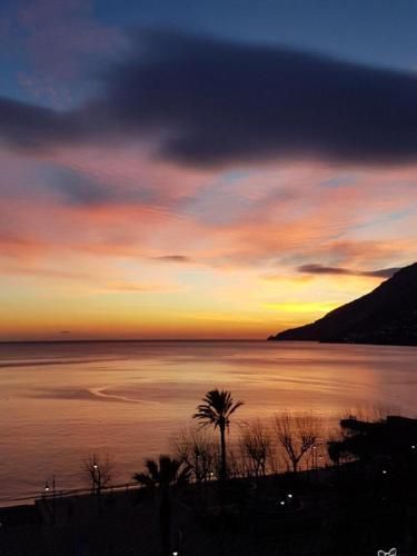 صورة الفندق 12