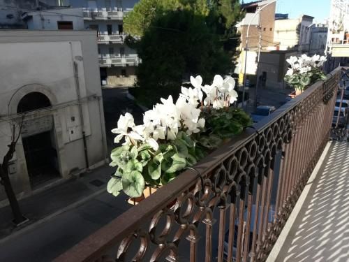 صورة الفندق 1