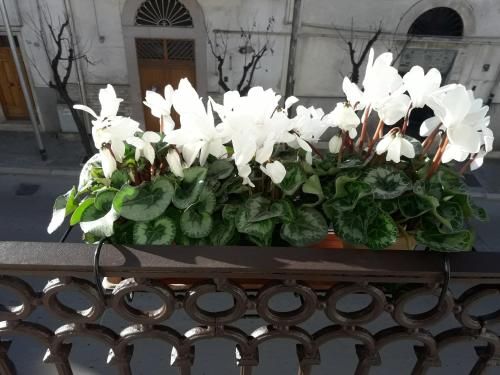 صورة الفندق 24