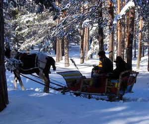 Zlatiborska vila 2 Zlatibor Serbia