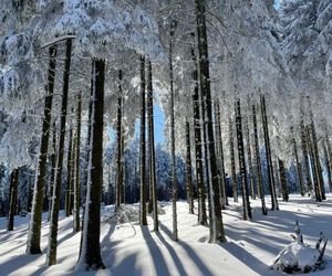 FeWo Gipfelglück Willingen Germany