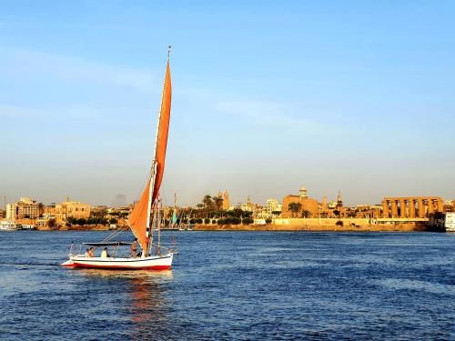صورة الفندق 22