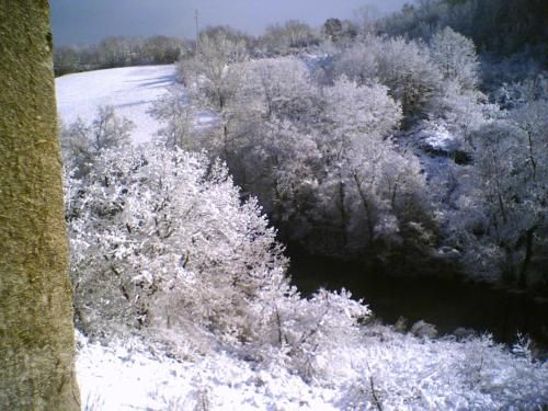 صورة الفندق 17