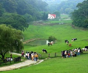 Flying Cow Ranch San-i Taiwan