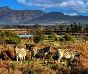 Welbedacht Game & Nature Reserve Tulbagh South Africa