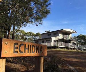 Echidna on Bruny Dennes Point Australia