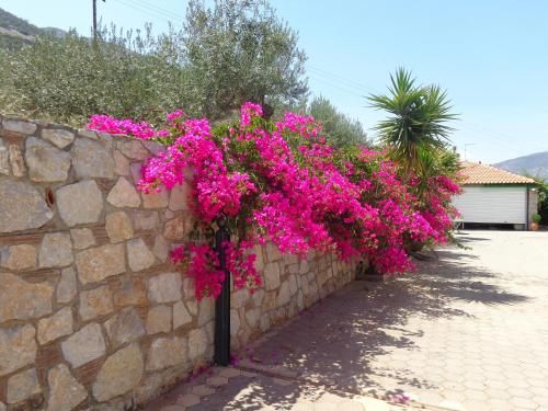 صورة الفندق 4
