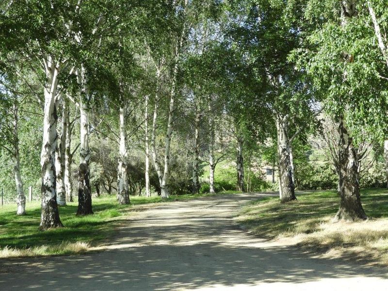 صورة الفندق 5