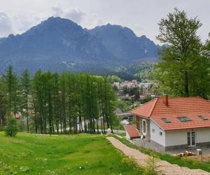 Vila Castel Cantacuzino Busteni Romania