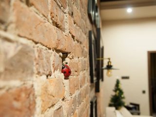 Ladybird loft on Rubinshteinа