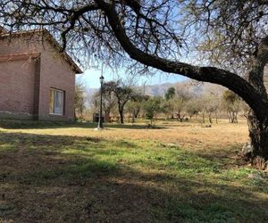 Antiguo Molle Merlo Argentina