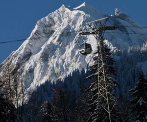 Laubrinus Adelboden Switzerland