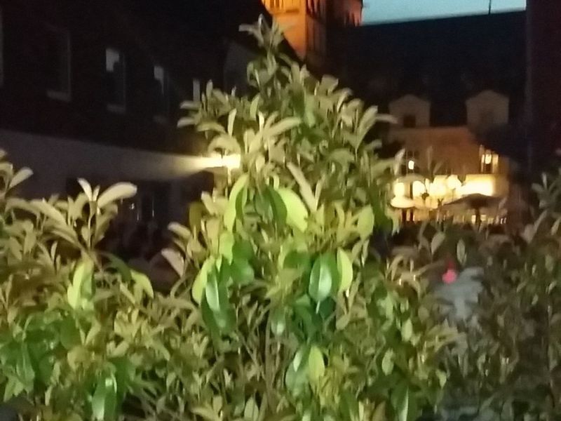 صورة الفندق 2