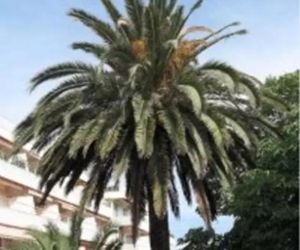 Eden St. Tropez France