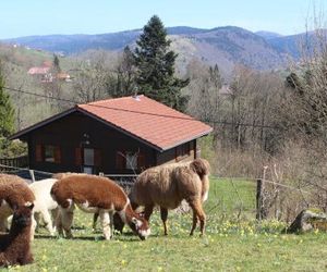 Chalet Les Bouleaux La Bresse France