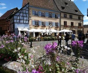 Gîte au château fleuri Eguisheim France