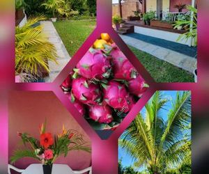 Les cottages de roseau Capesterre Guadeloupe