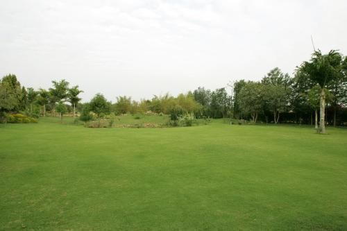 صورة الفندق 13