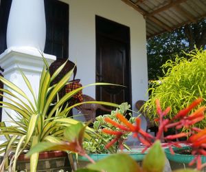 Fairview Dill homestay Sigiriya Sri Lanka