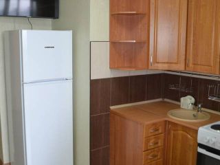 Elka Pulkovo Apartment