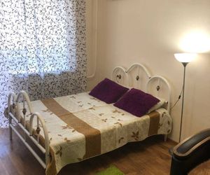 Apartment on Strelkovoy Divizii Rostov-na-Donu Russia