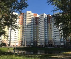 Apartment on Pionerskaya 54 Kolomna Russia