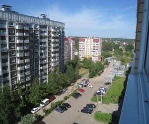 Апартаменты на Петровском Golitsyno Russia