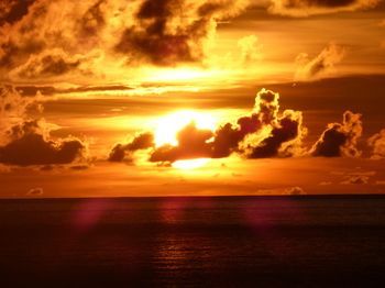 صورة الفندق 17
