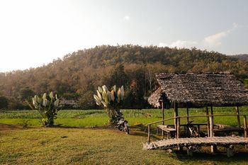 صورة الفندق 18