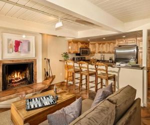 Standard Two Bedroom - Aspen Alps #106 Aspen United States