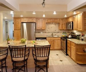 Standard Two Bedroom - Aspen Alps #103 Aspen United States