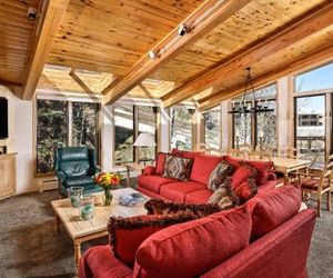 Deluxe Three Bedroom - Aspen Alps 209 Aspen United States