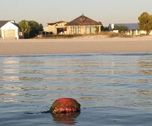 Waters Edge Langebaan South Africa