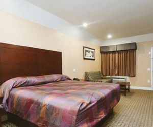 Palace Inn 1-10 West & Beltway 8 Addicks United States