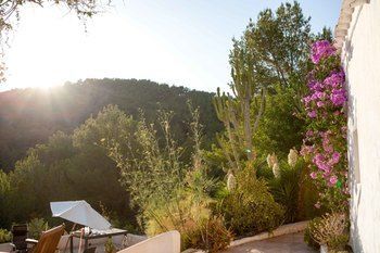 صورة الفندق 13