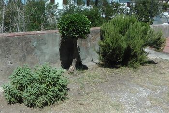 صورة الفندق 24