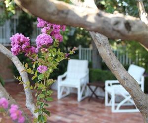 El jardín de la abuela Granada Spain