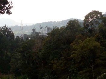 صورة الفندق 11
