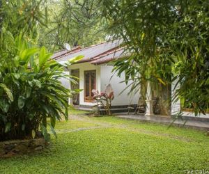 The Calm Cabana Dambulla Sri Lanka