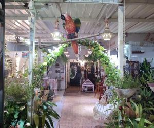 Casa Linda Rodadero Colombia