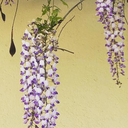 صورة الفندق 6