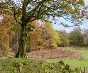 Yew - Woodland Cottages Bowness On Windermere United Kingdom